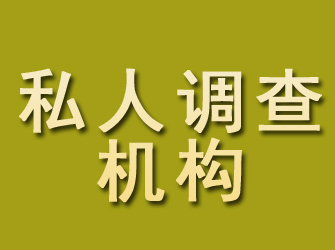 苍山私人调查机构